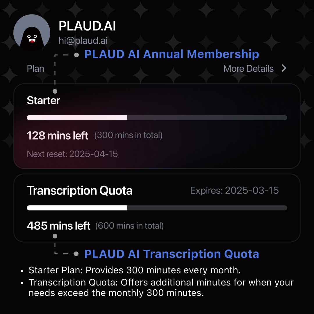 PLAUD AI Transcription Quota 600 mins | 2 Pack